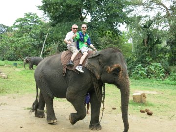 Elephant Back Ride