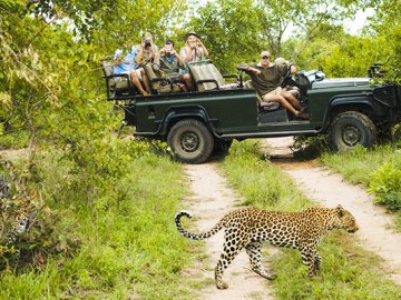 Wild Life Safari