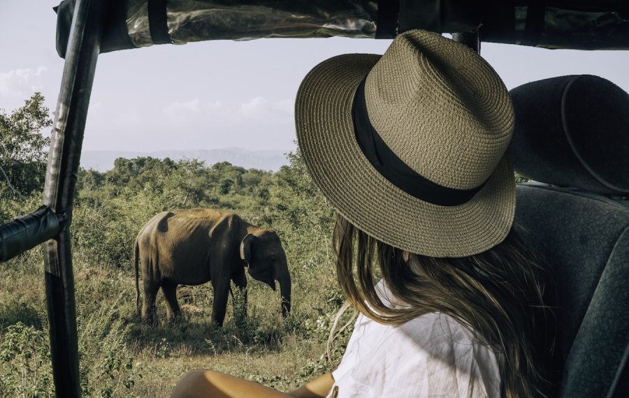 Wild life Safari - Mytravelpartner