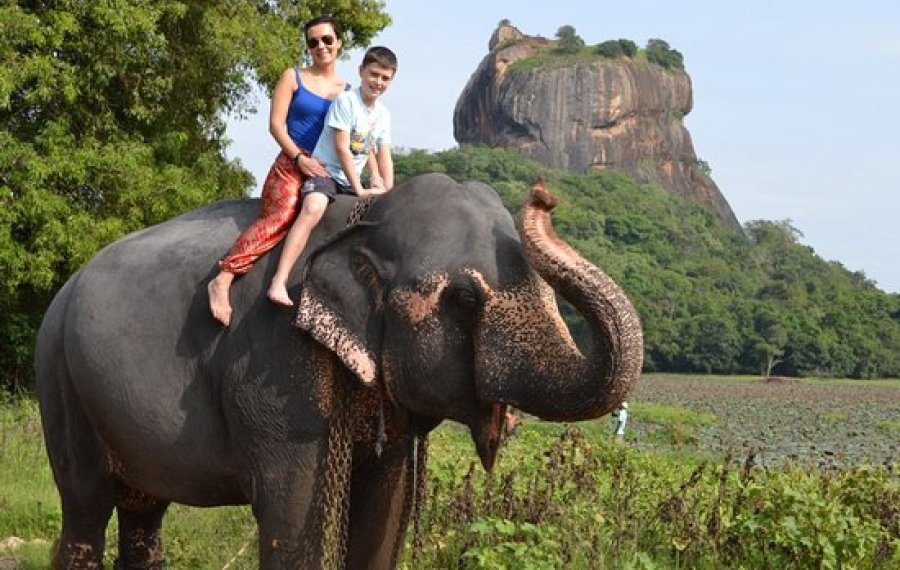 Elephant Back Ride