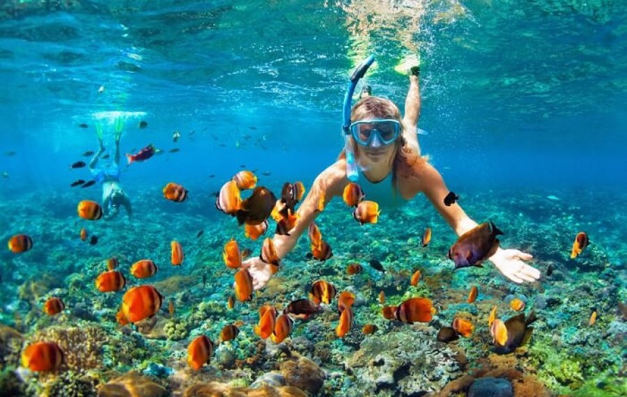 Snorkeling 