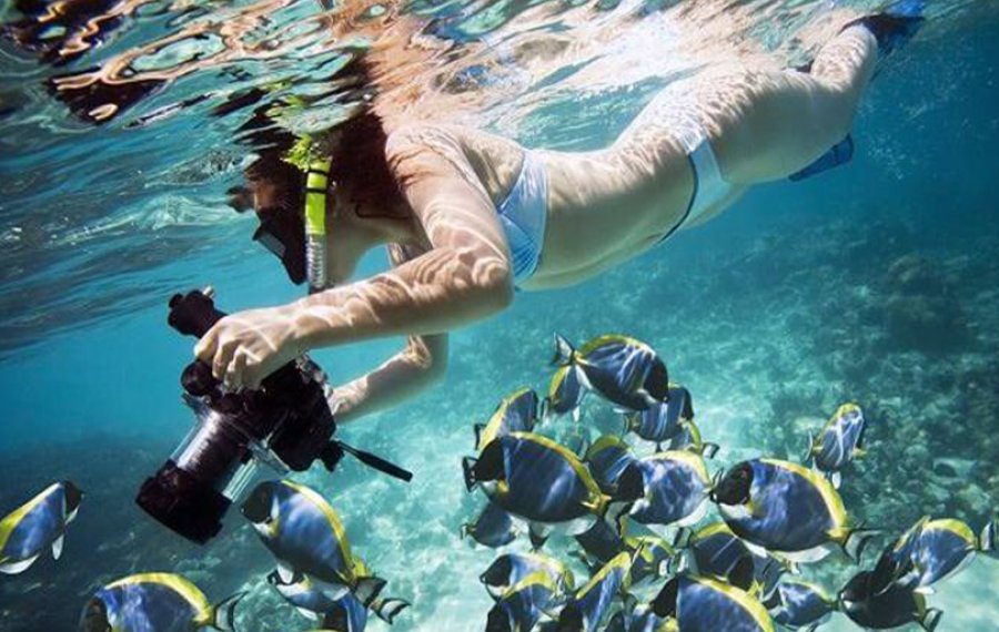 Snorkeling 