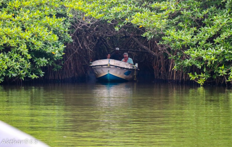 Koggala Lake Safari