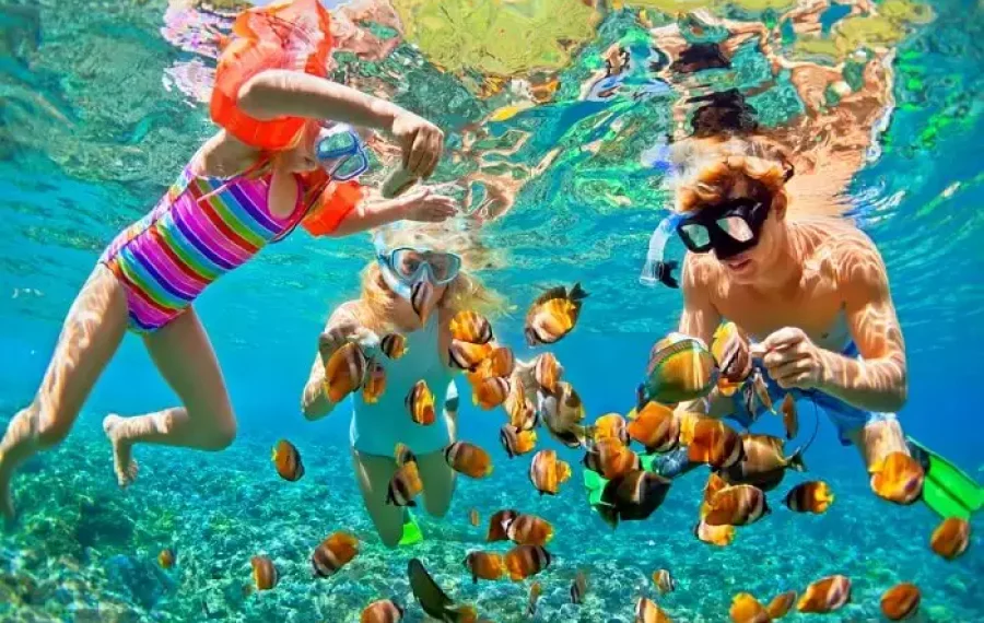 Snorkeling 