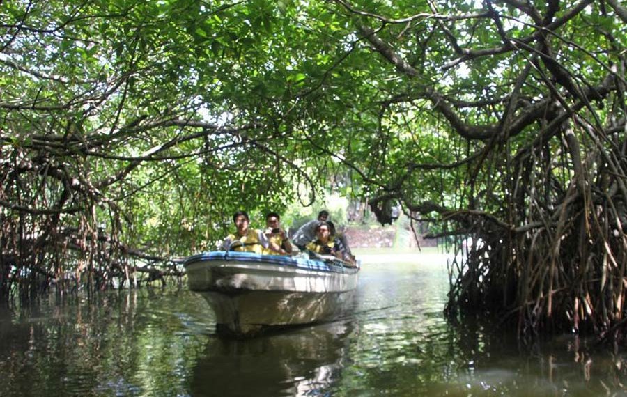 Koggala Lake Safari