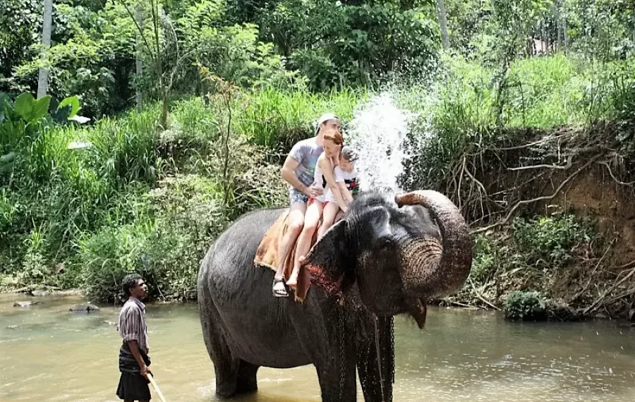 Elephant Back Ride