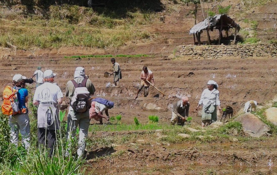  Village Life safari