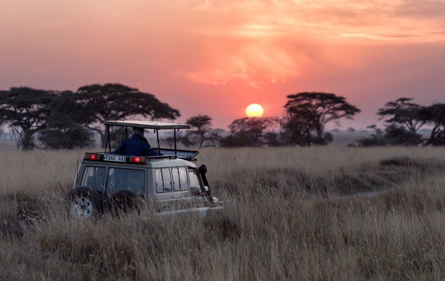  Village Life safari