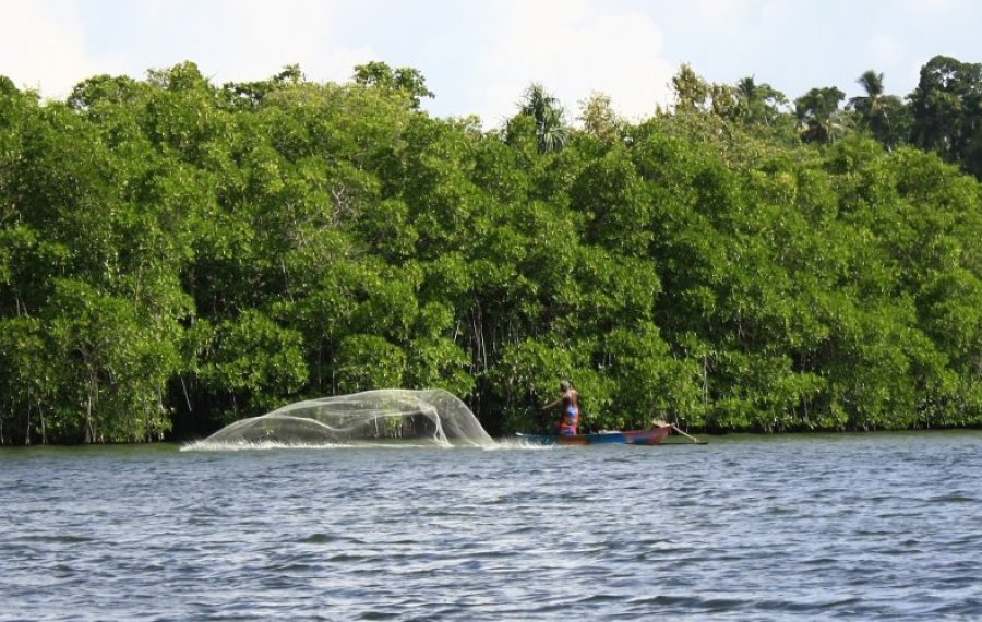 Koggala Lake Safari