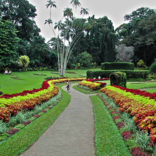 Haggala Flower Garden