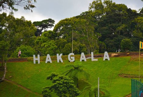 Haggala Flower Garden 