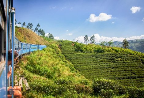 Nuwara Eliya