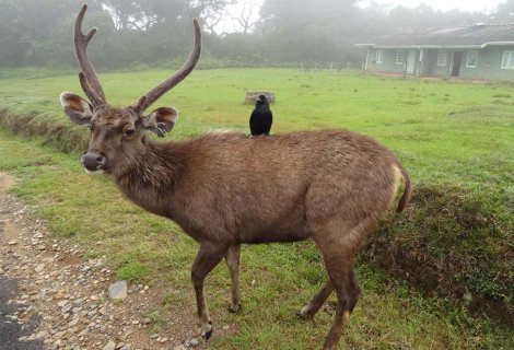 Horton Plains - mytravelpartner.lk