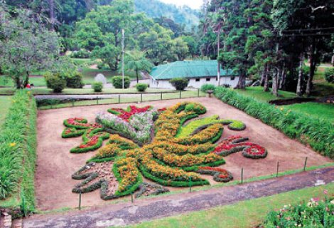 Haggala Flower Garden 