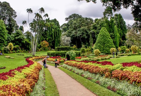 Haggala Flower Garden 