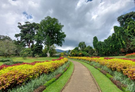 Royal Botanical Garden