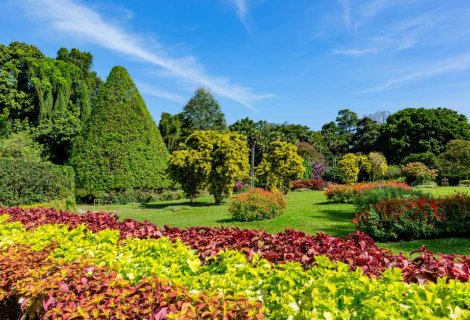 Haggala Flower Garden 