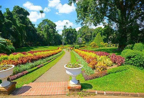 Haggala Flower Garden 