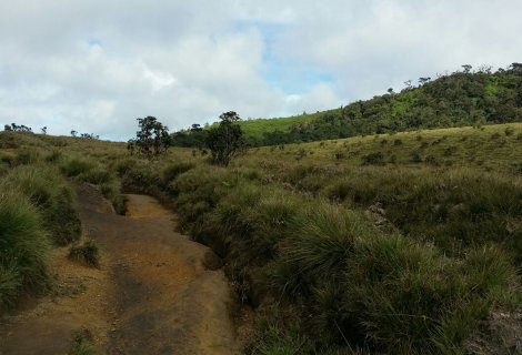 Nuwara Eliya