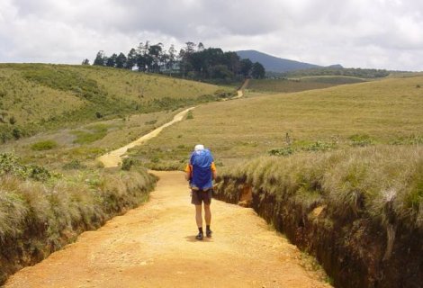 Horton Plains - mytravelpartner.lk