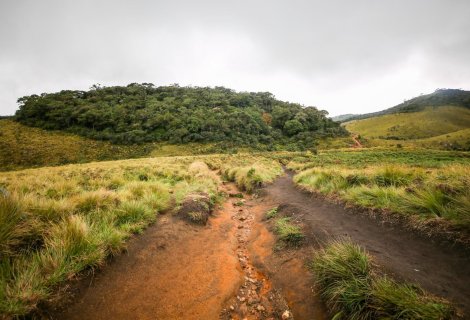 Nuwara Eliya